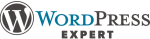wordpress experts